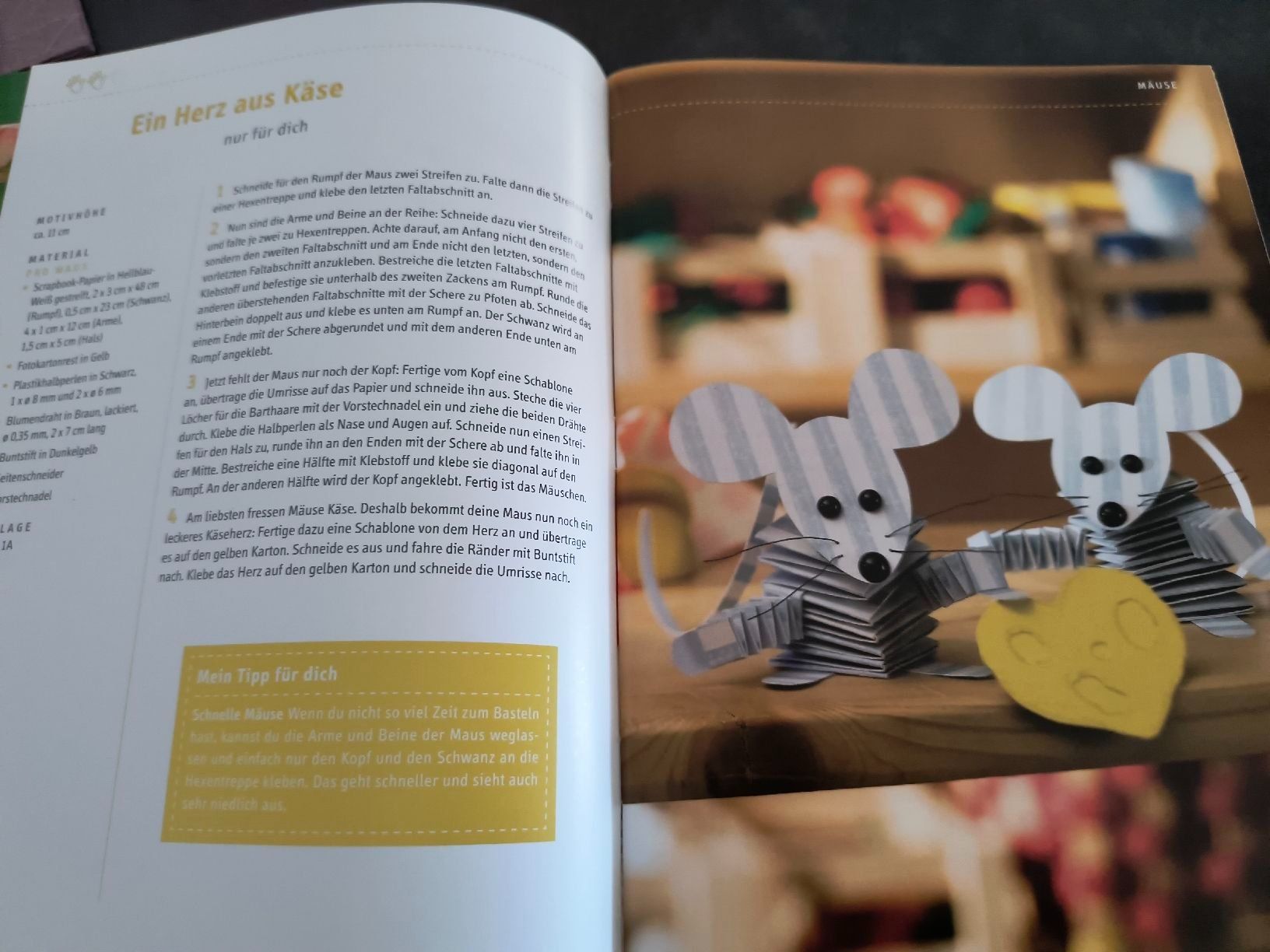 Libri: Faltideen einfach tierisch Buch Basteln mit Papier – Usato da Oberweningen venduto da Bumblebee2 1