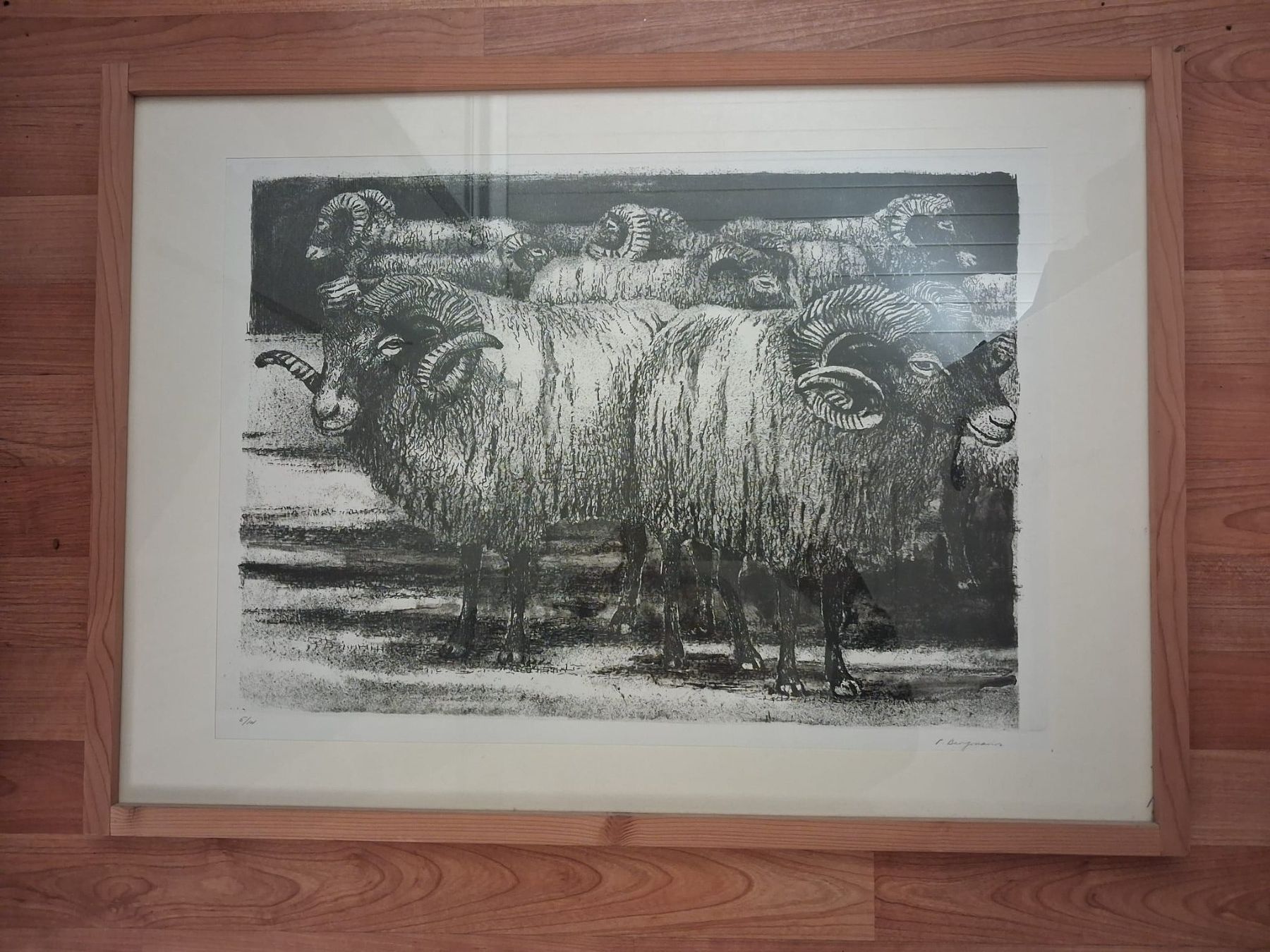 Posters & Illustrations: Peter Bergmann, Schaafe – D'occasion à Burgdorf par stoubi