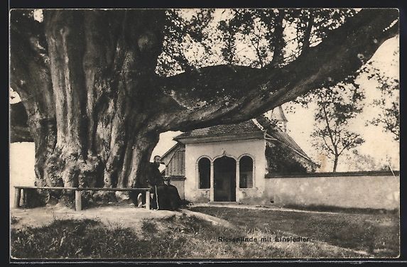 Cartes postales: Bremgarten, Riesenlinde mit Einsiedler – D'occasion à Berlin par bartko-reher