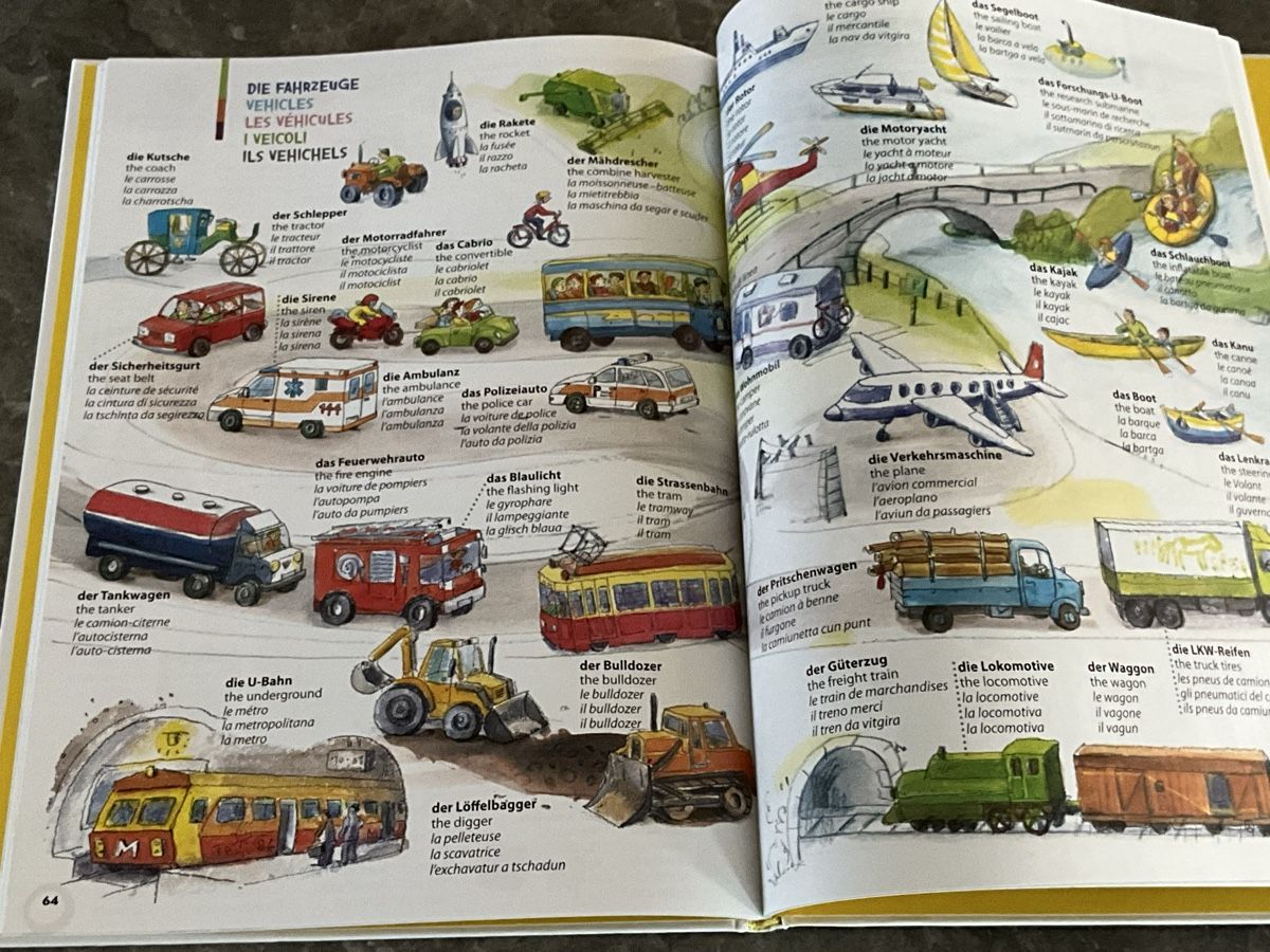 Libri: Das grosse Schweiz Wimmelwörterbuch – Nuovo (secondo la descrizione) da Oberhof venduto da Hibrzel 2