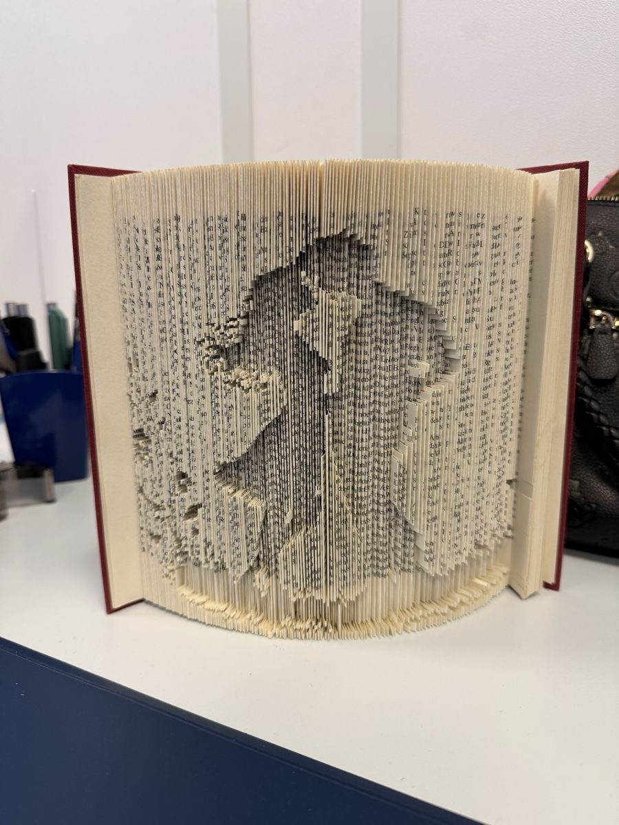 Tutte le decorazioni: Geschenk Handgefaltetes Buch – Nuovo (secondo la descrizione) da Goldingen venduto da Wibli96