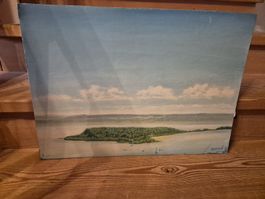 Gemälde, signiert Suter, See Landschaft, zu verkaufen!