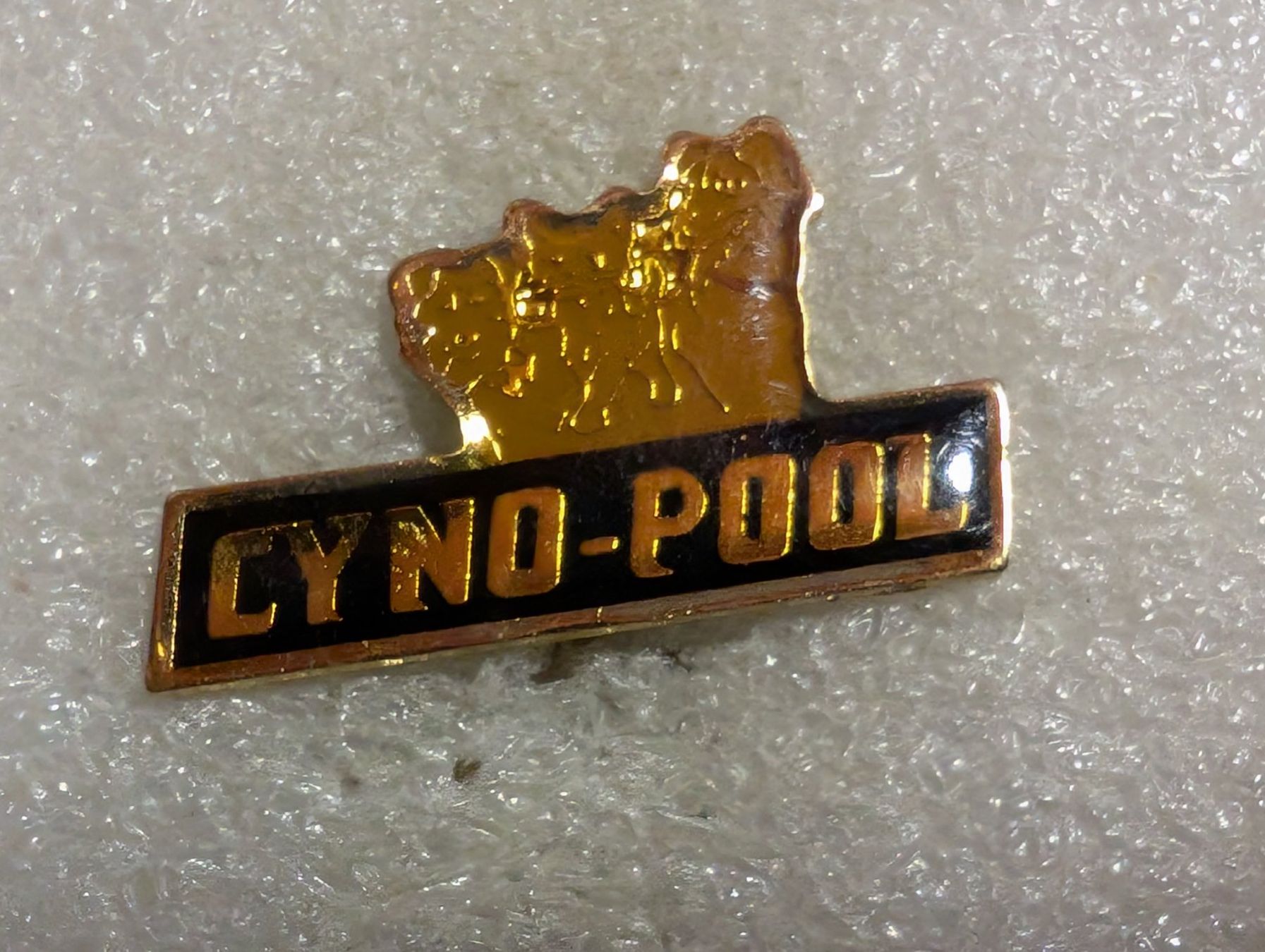 Plaketten & Abzeichen: Ansteckpin 242: Cyno Pool – Gebraucht aus Oppligen von Pin-Fall-Shop