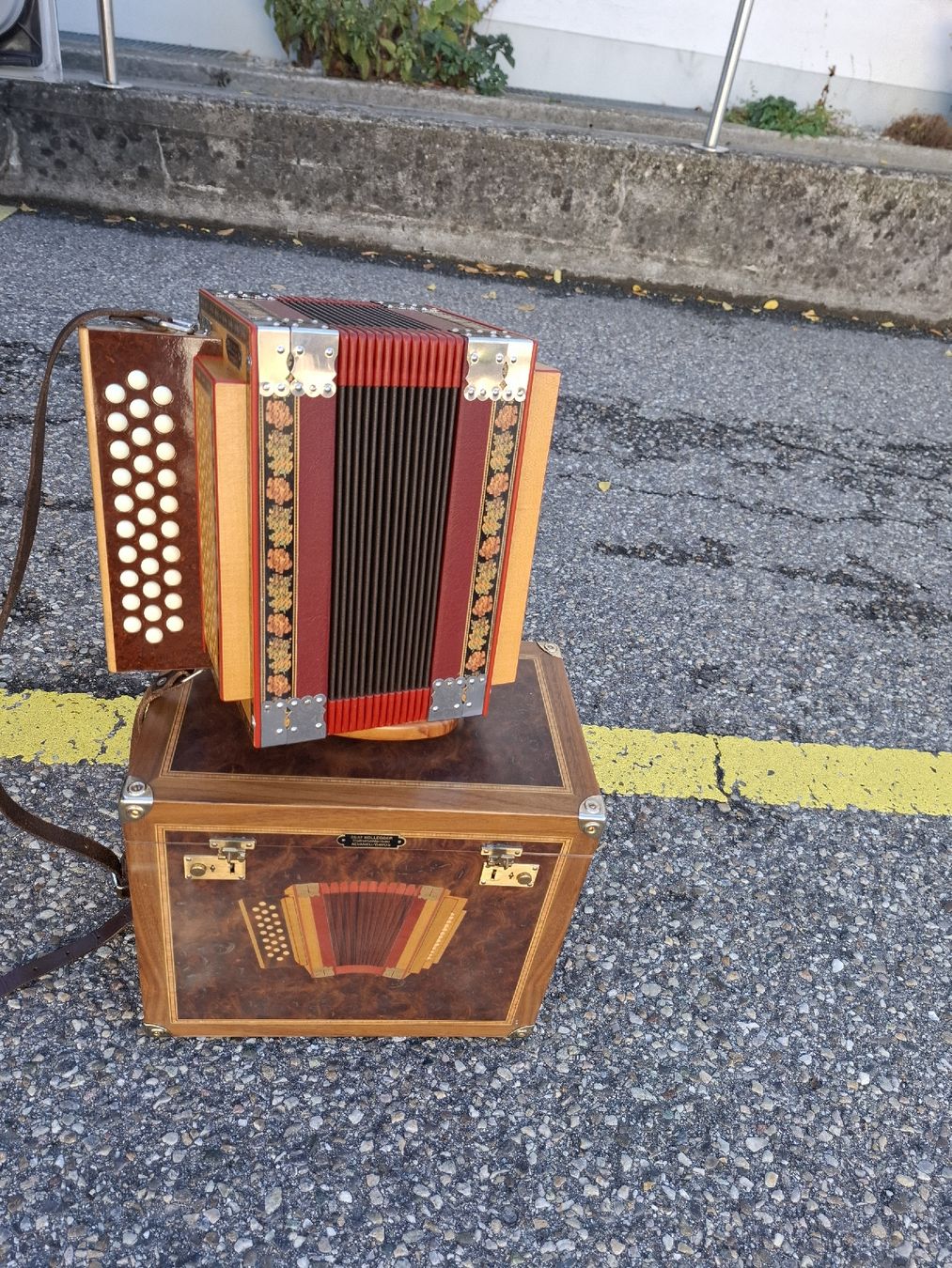 Strumenti musicali: kollegger stadivarius orgeli – Usato da Villeneuve venduto da BibiVintage 5