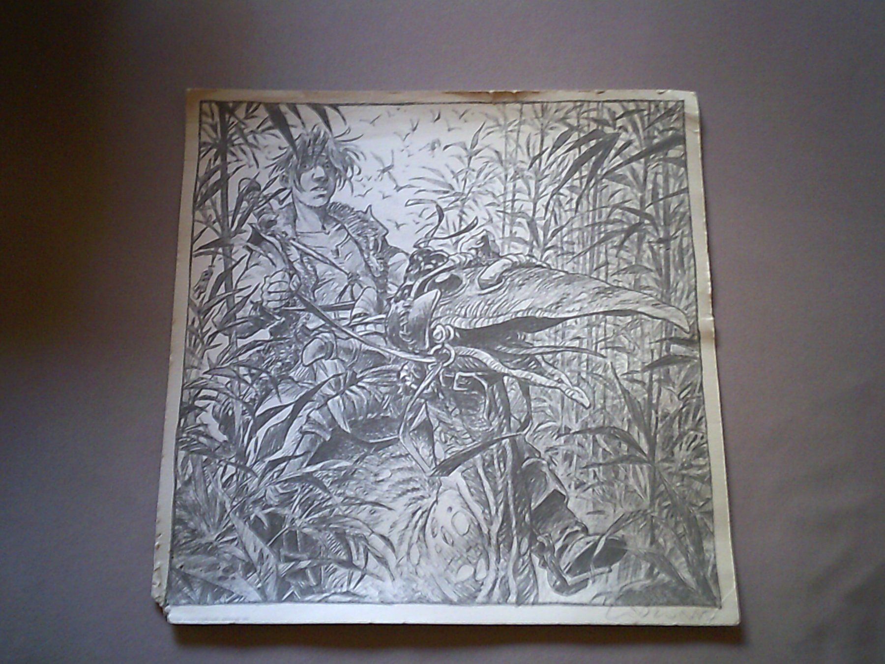 Comics: Dessin de Bragon par Lidwine – Gebraucht aus Satigny von Haddock0
