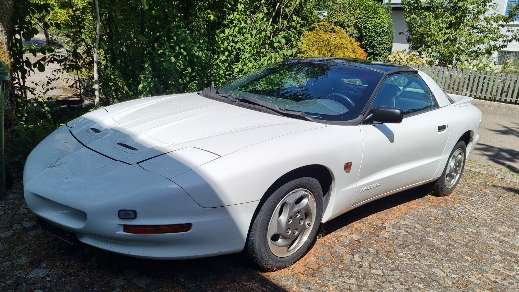 Pontiac Autos: Pontiac Firebird V6 – Gebraucht aus Oberglatt ZH von Mueller4000