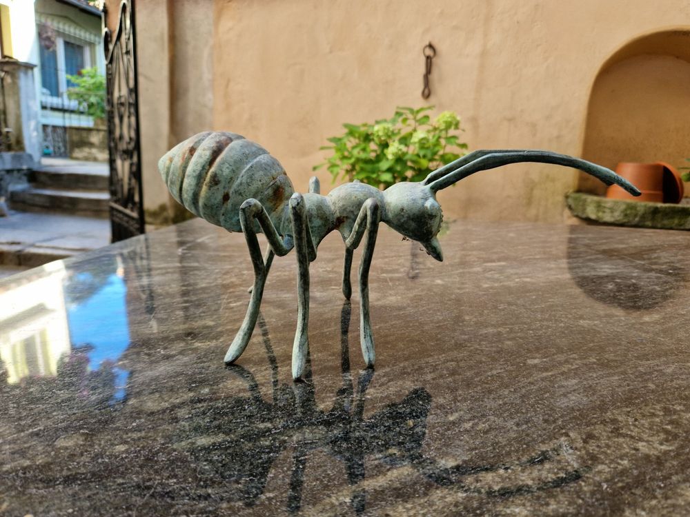 Formica in bronzo Kaufen auf Ricardo