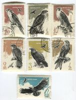 Briefmarken Steinadler, Turmfalke, Gerfalke. UdSSR