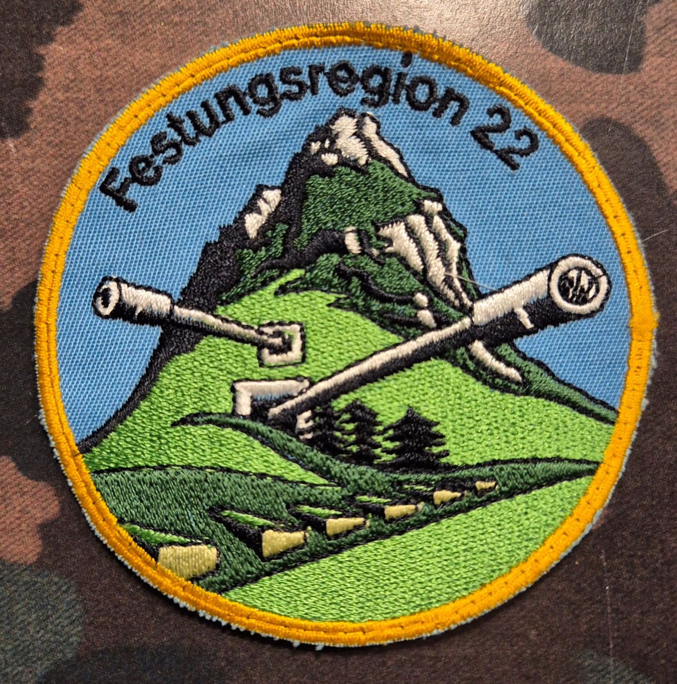 Schweizer Armee Placchette & Badge: Festungregion 22 – Nuovo (secondo la descrizione) da Dottikon venduto da Robawa