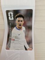 Antonee Robinson USA Top Zustand Panini Coca-Cola Sammelbild