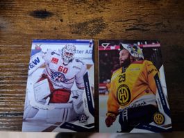 Basis Karten aller 14 Teams - Serie 1 - Sportzoo