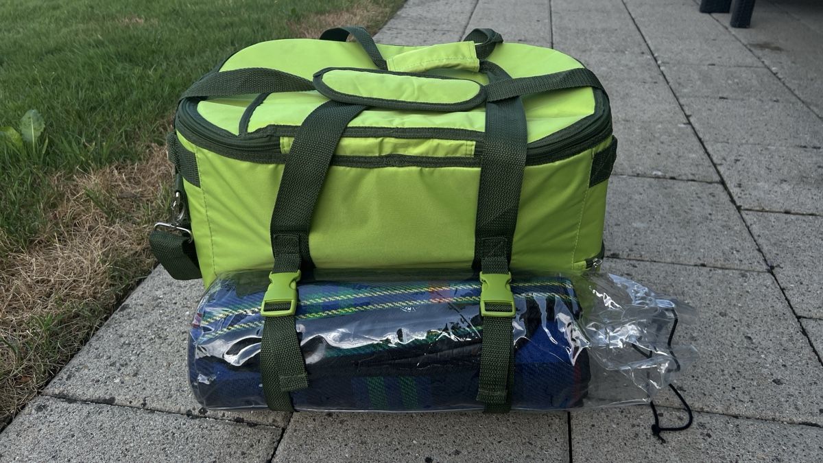 Frigoriferi & Refrigeratori: Kühltasche inkl. Picknickdecke – Usato da Aesch LU venduto da HSchnitzler 3