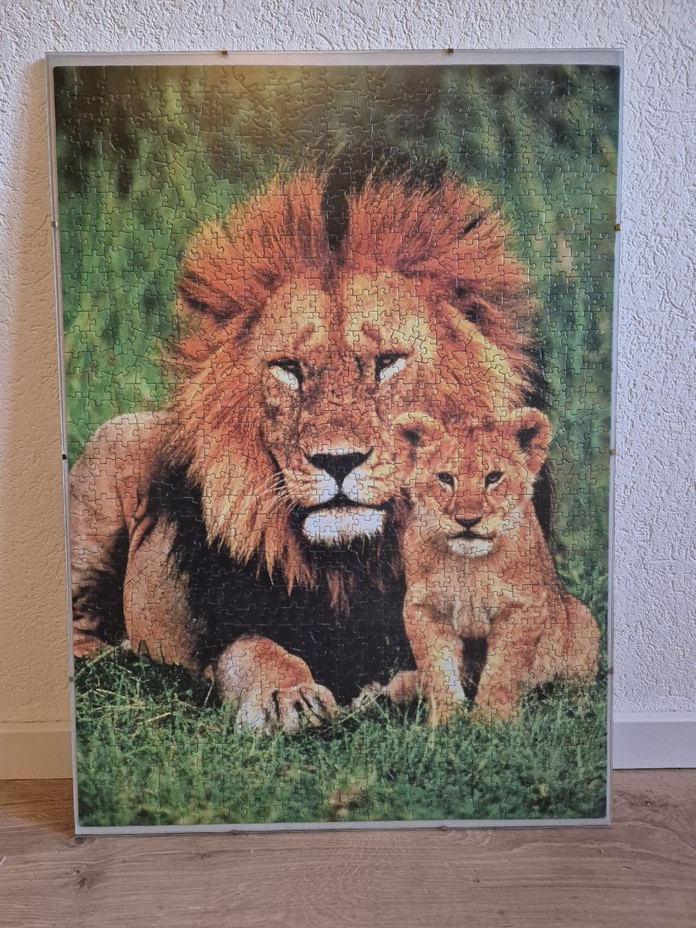 Puzzles: Puzzle Löwe mit Baby inkl. Bilderrahmen – Gebraucht aus Derendingen von mburri11