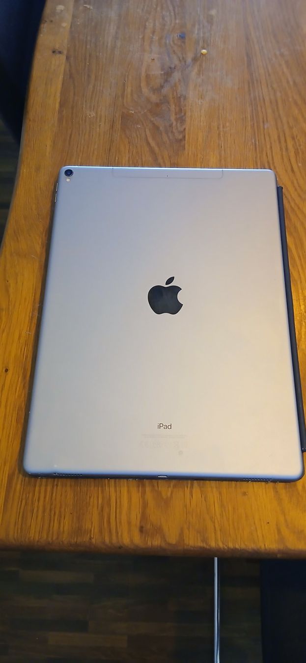 Apple Tablet PC: Ipad pro 12.9 gen 2 mit Tastatur – Usato da Regensdorf venduto da ste_7k6h