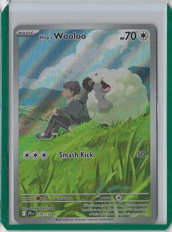 Pokémon Carte collezionabili: Pokémon - Wooloo 170 EN – Nuovo (secondo la descrizione) da Steffisburg venduto da Pat_Stoll