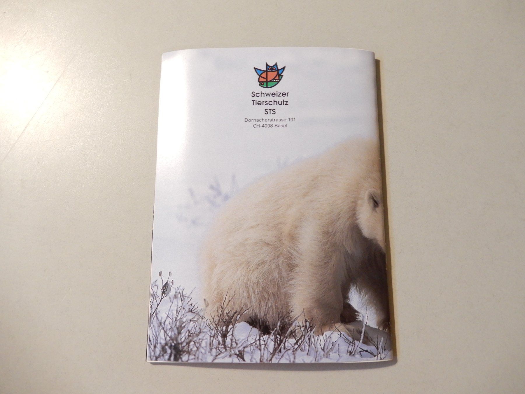 Libri: Makis Gut, Eisbär - Born for Freedom-Kinderbuch,Top! – Usato da Erstfeld venduto da Mario_boe0 9
