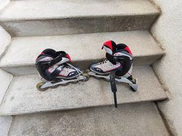 Rollerblade FILA Grösse 41