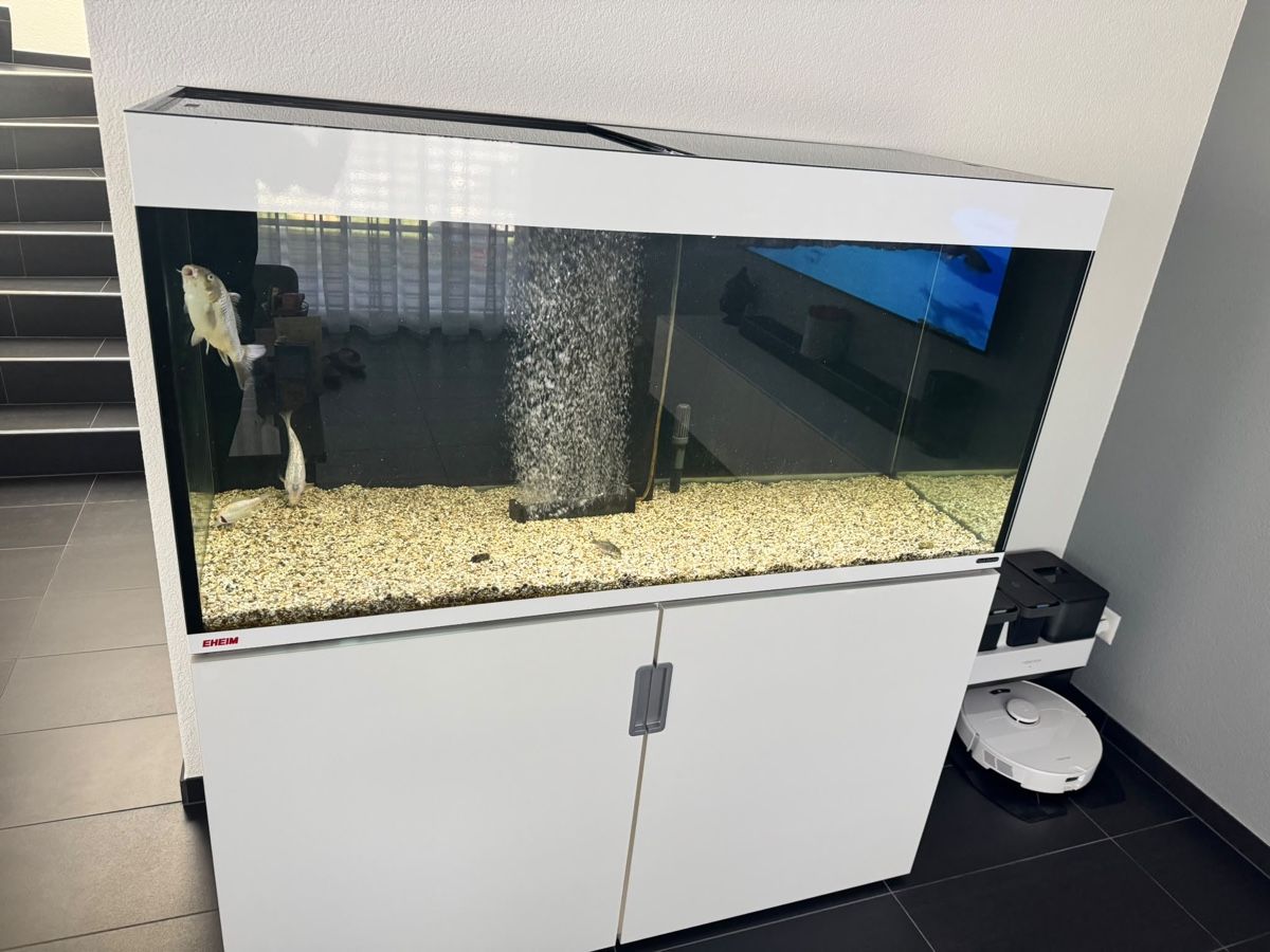 Eheim Aquarium: Aquarium Eheim Incpiria 430 – Gebraucht aus Rüti b. Büren von Thje22