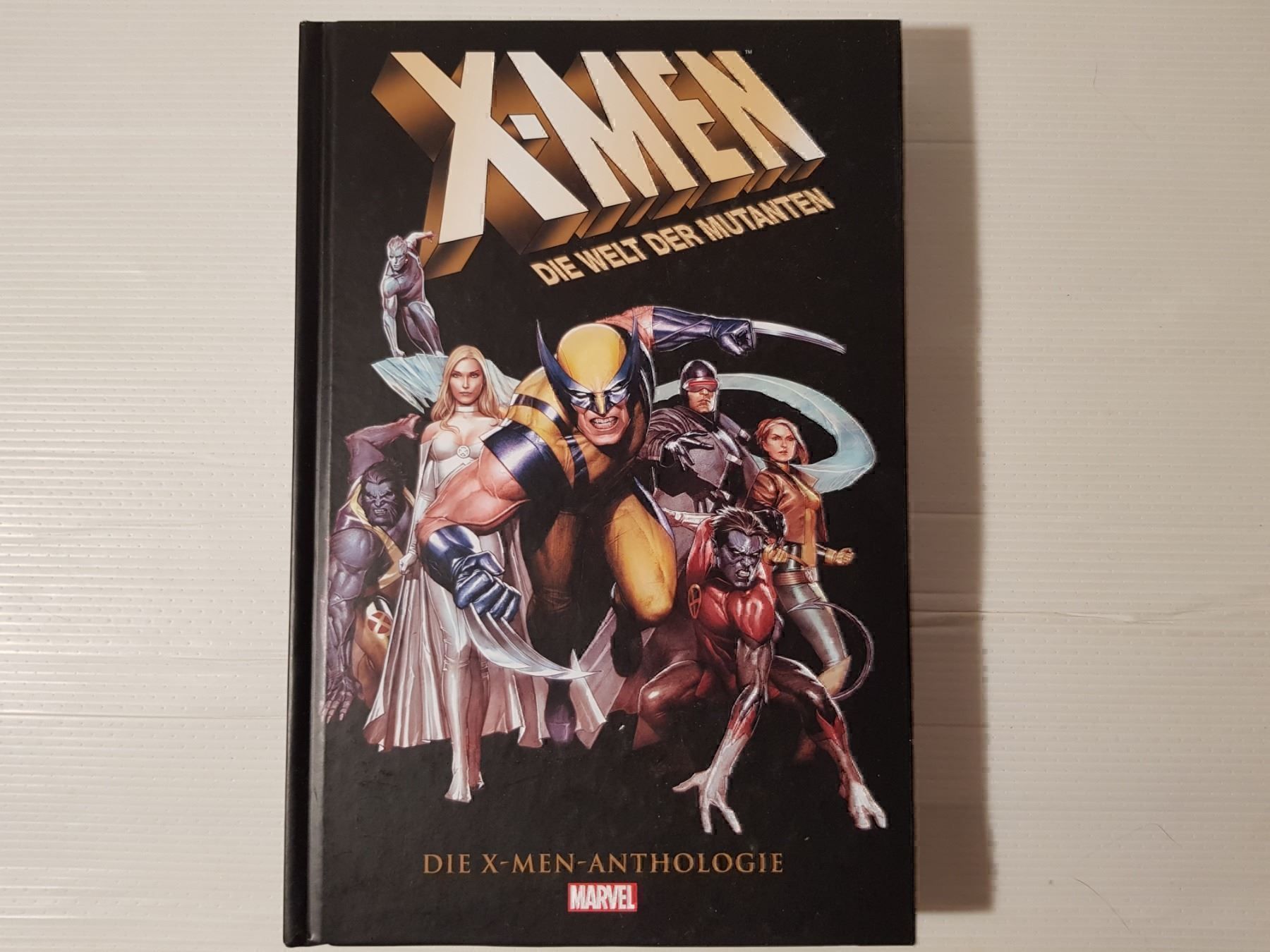 Fumetti: X-Men Anthologie: Die Welt der.... Comic – Usato da Münchenstein venduto da vitalfit