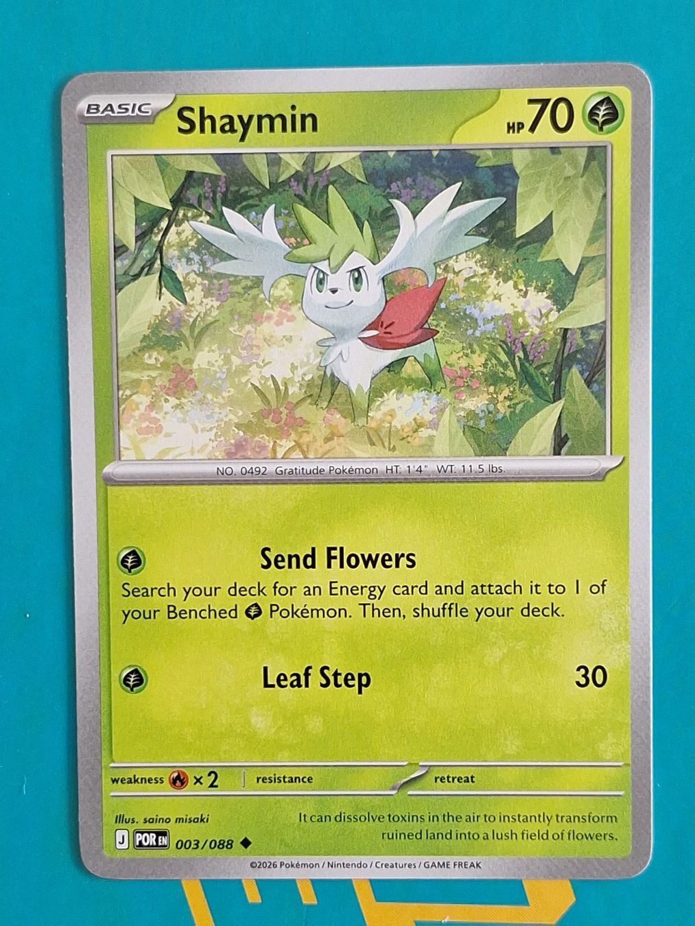 Pokémon Carte collezionabili: Shaymin - Pokemon Perfect Order – Usato da Altstätten SG venduto da GGsGameshop