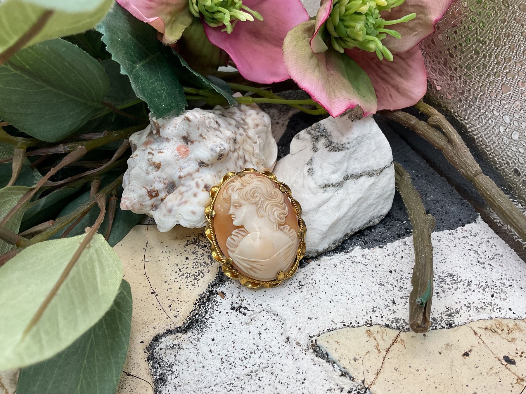 Broschen & Nadeln: Antike Brosche Muschelgemme – Gebraucht aus luzern von Alpendorf1 2