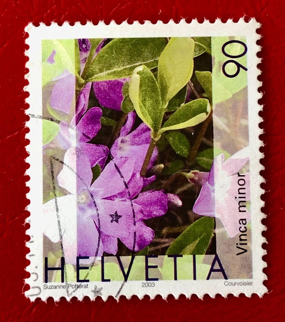 Tutti i francobolli: Nr.1074 Gemeines Flora,Immmergrün GESTEMPELT 2003     – Usato da Aarau venduto da Billa007