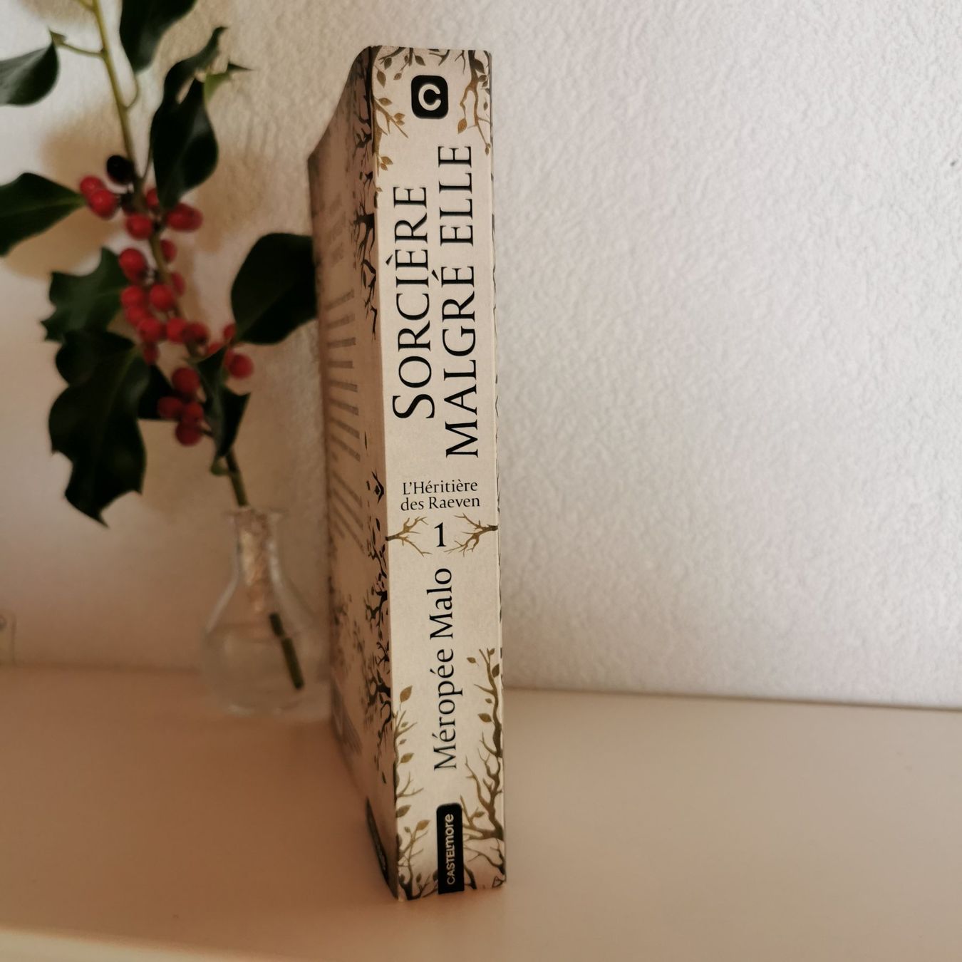Bücher: Sorcière malgré elle #1 - Méropée Malo – Neu (gemäss Beschreibung) aus Veytaux von lelivreouvert 1