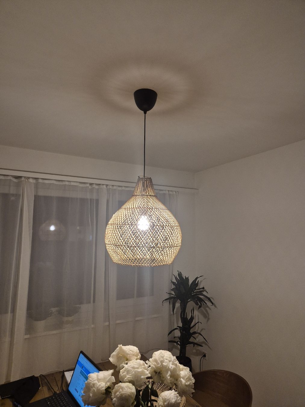 Kronleuchter & Deckenlampen: Rattanlampe – Gebraucht aus Lachen SZ von missfranky85 1