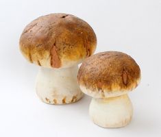 Keramik Steinpilz 2 Stück 🍄🍂🍄