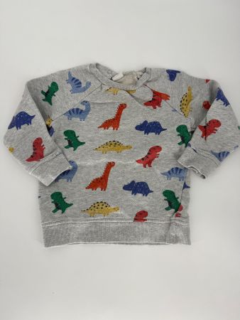 Dino-Pullover Gr. 92 von H&M