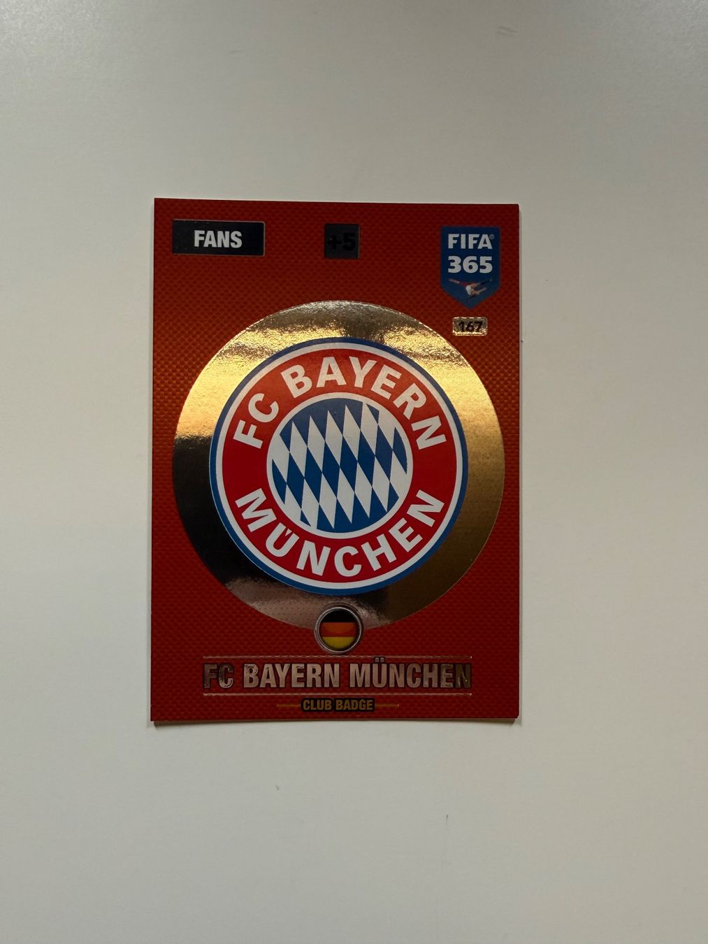 Panini Carte collezionabili: FC Bayern München Panini Karten – Usato da Zürich venduto da sta_hy6y 7