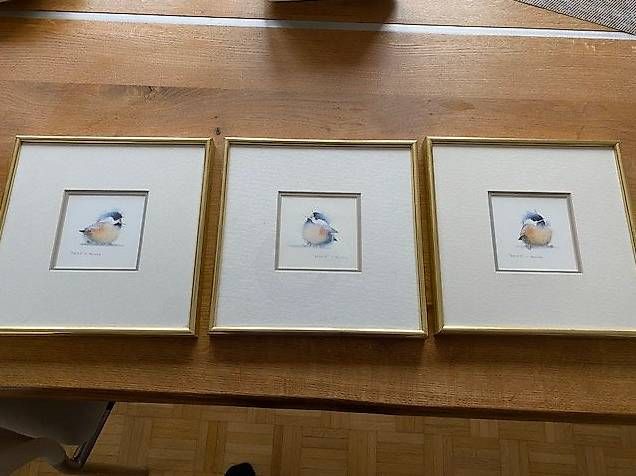 Poster & Bilder: Val Pfeiffer gerahmte Bilder mit Singvogel – Gebraucht aus Adlikon von Fordgalaxie