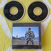 PINK FLOYD-2CD DELICATE SOUND OF THUNDER