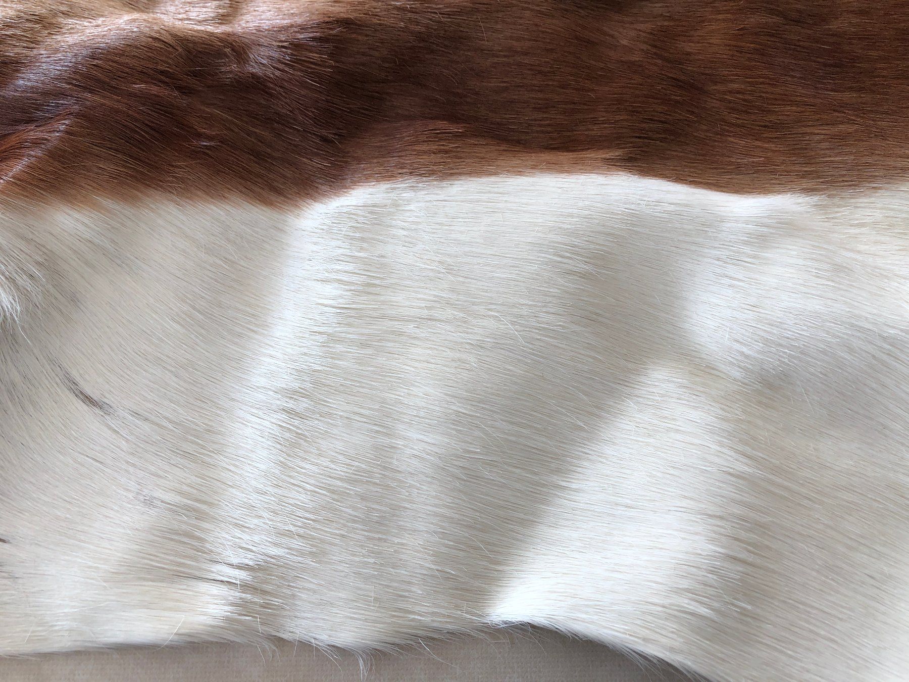 Il mondo degli animali: Springbock-Fell 115 x 65 cm – Nuovo (secondo la descrizione) da Balzers venduto da Bastlerherz 2