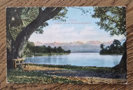 Seepromenade Thun 1907