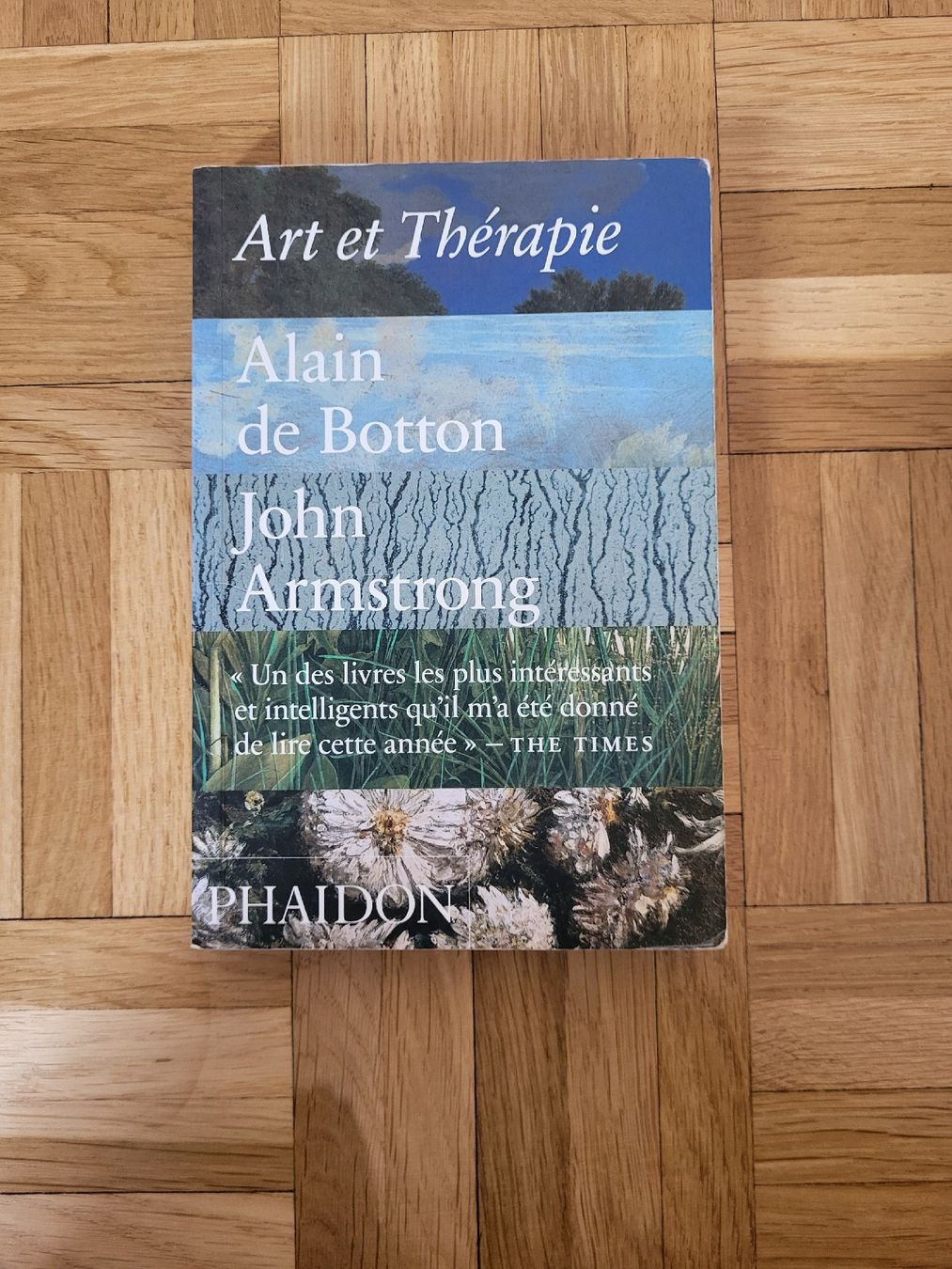 Libri: Art et Thérapies - Phaidon – Usato da Genève venduto da Poupoulita