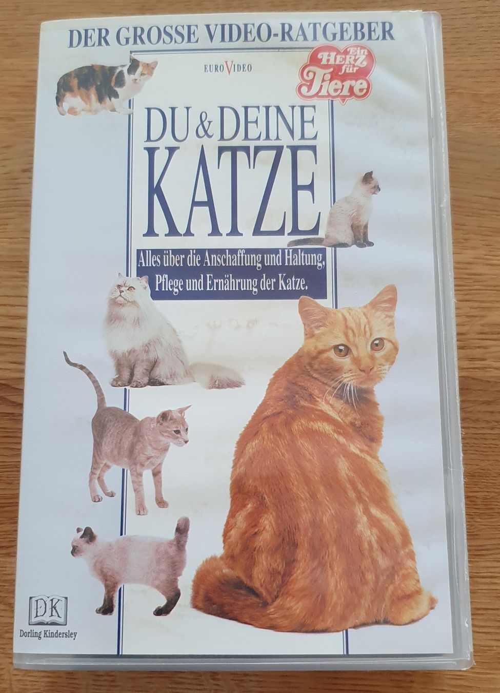 Tutti i VHS: VHS Ratgeber "Du & Deine Katze" – Usato da Zofingen venduto da Sammelsurium92