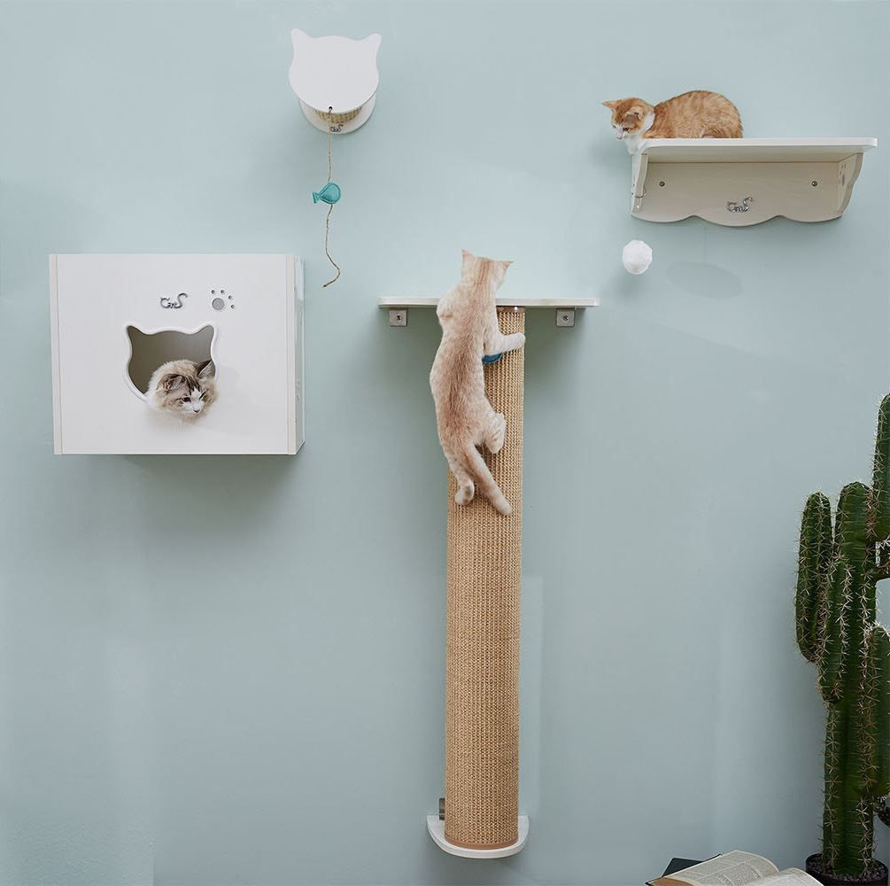 Kletterausrüstungen: CatS Design Katzen Kletterwand Set – Neu und originalverpackt aus Mönchengladbach von Zoopplier
