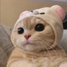 Profile image of nis_9lsh