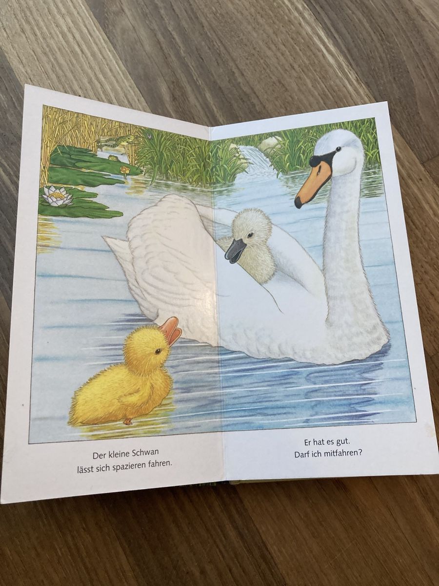 Bücher: Buch- Die kleine Ente – Gebraucht aus Luzern von Aldabema 4
