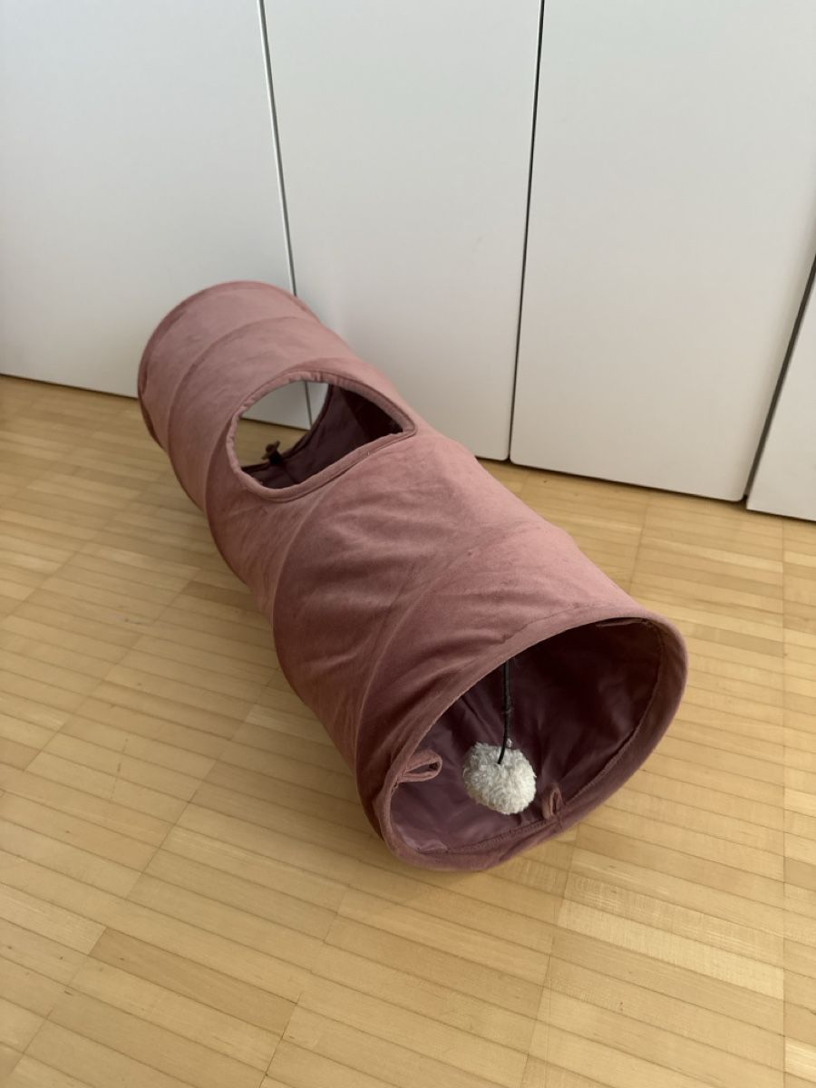 Tiragraffi: Cat Bundle: Scratch Post, Litter Box, Toys - Great Deal! – Usato da Aesch BL venduto da 133_kiky 6