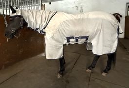 Bucas Sweet-itch X Light, Fliegen-/Ekzemerdecke 130 cm