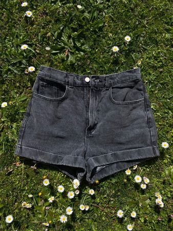 Short Taille Haute American Apparel