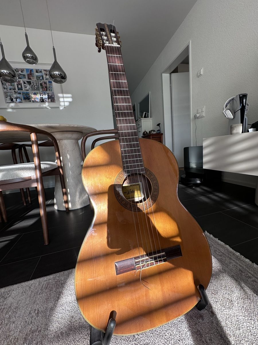 Aria Instruments de musique: Aria Gitarre 🎸 – D'occasion à Untersiggenthal par SuperMario41 2