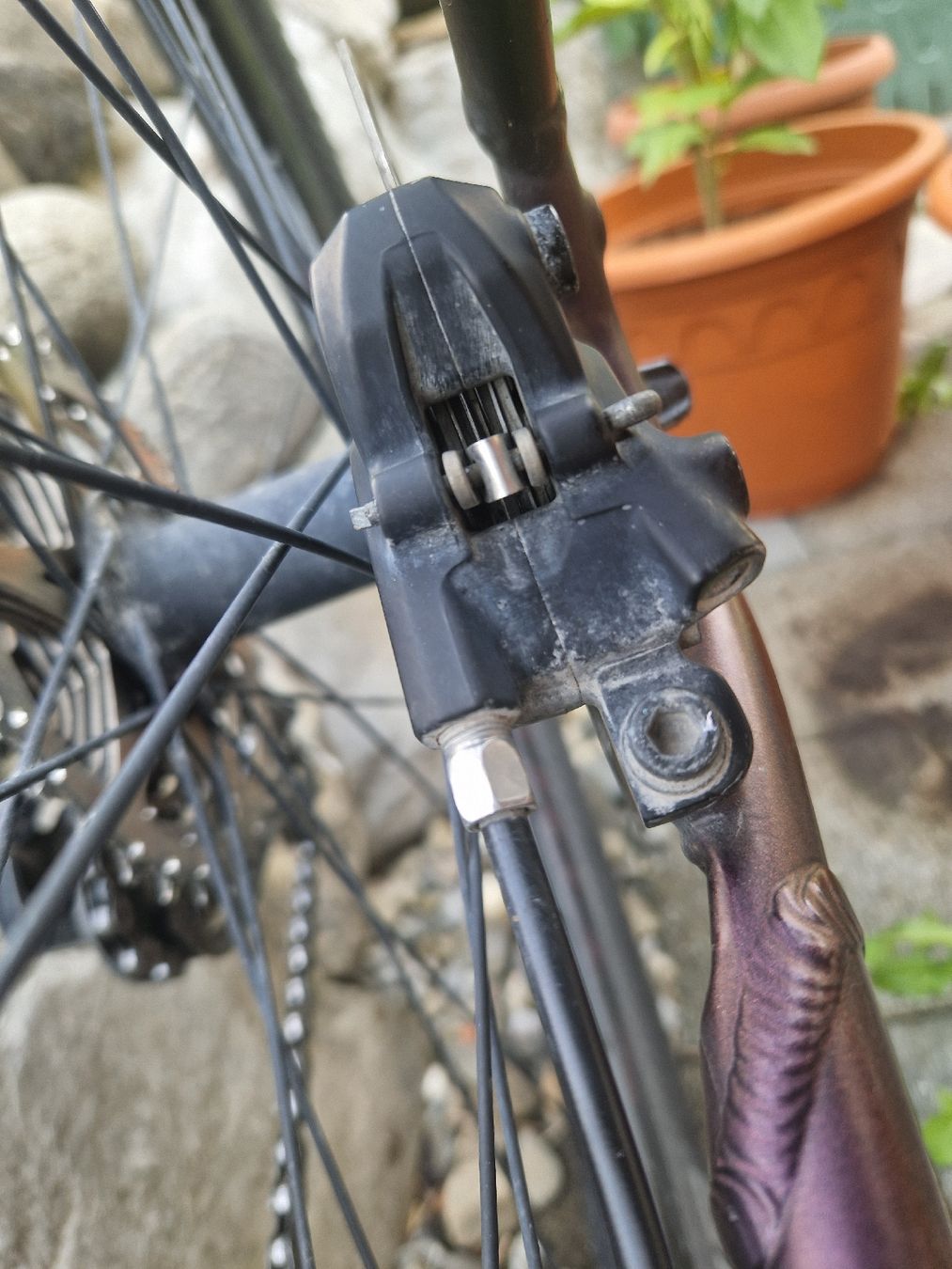 Specialized Velos: Specialized Rockhopper Comp 29 Zoll. – Gebraucht aus Mollis von Clodi2 8