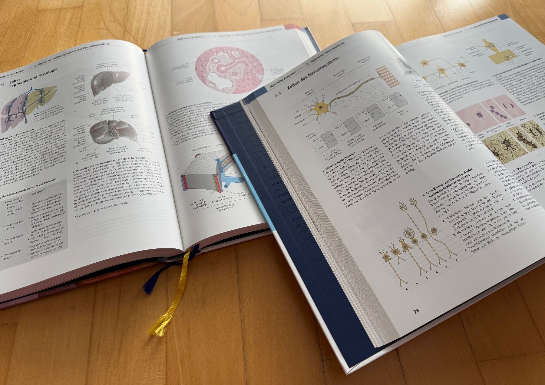 Livres: Prometheus LernAtlas der Anatomie – D'occasion à Reinach AG par Majo.K 6