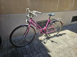 Velo Alpina San Diego