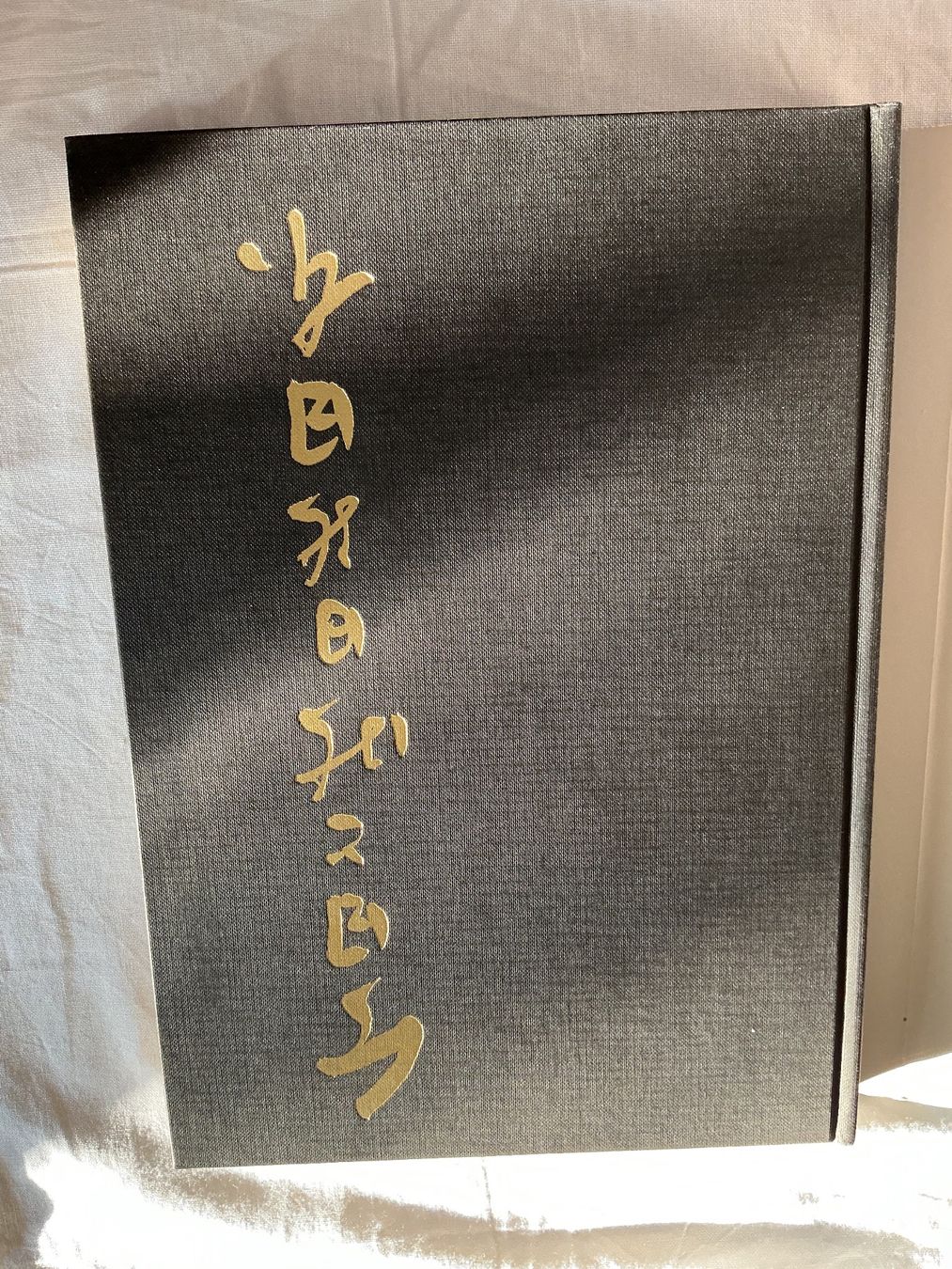 Bücher: Silva Buch Japan gestern und heute – Gebraucht aus Niederhasli von ercp4 3