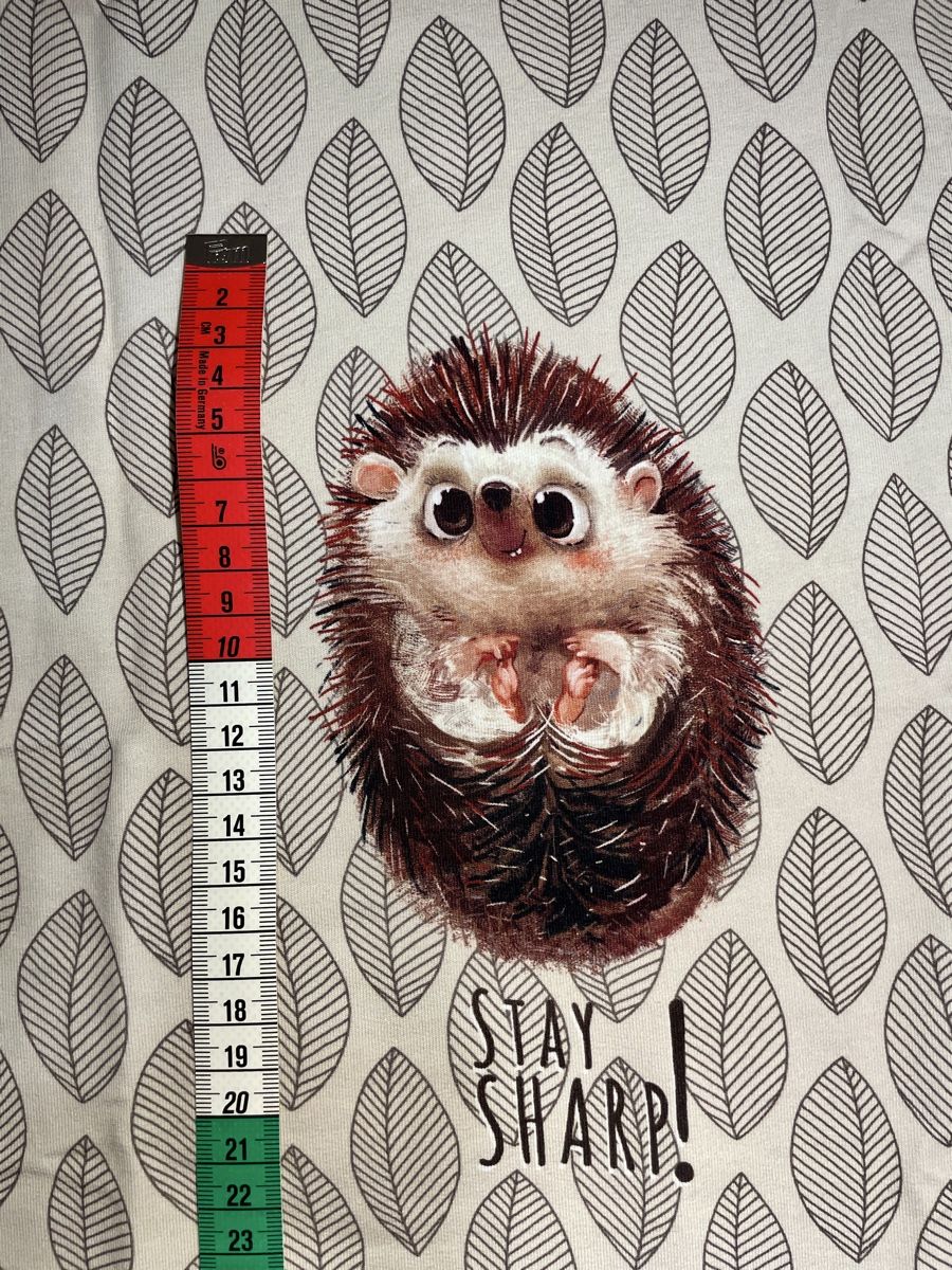 Tessuti: herziges Igel-Panel von Stenzo aus Sommersweat – Nuovo (secondo la descrizione) da Neuendorf venduto da Knopfi 2
