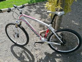 Specialized Stumpjumper Carbon 19” – NEUWERTIG – nur 300 km